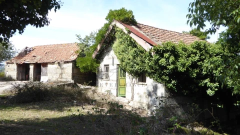 Quinta T6 para Venda em Várzea, Aliviada e Folhada