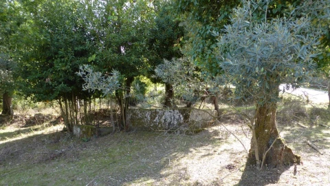 Quinta T6 para Venda em Várzea, Aliviada e Folhada