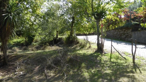 Quinta T6 para Venda em Várzea, Aliviada e Folhada