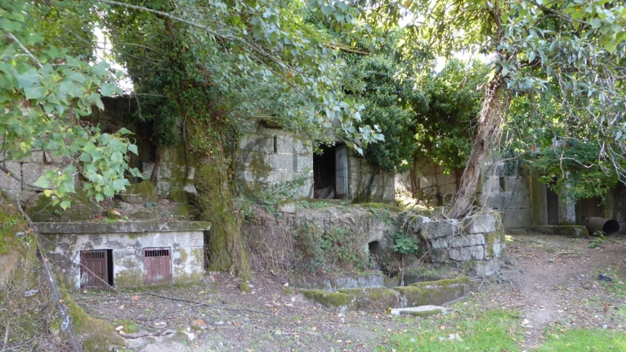 Quinta T6 para Venda em Várzea, Aliviada e Folhada Foto 8