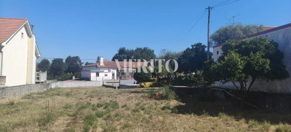 Terreno para Venda em Alvarães