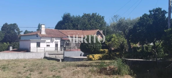Terreno para Venda em Alvarães