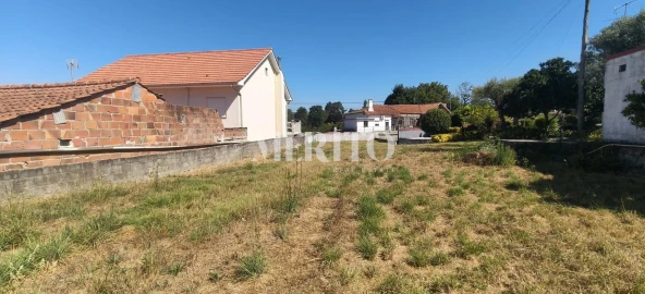 Terreno para Venda em Alvarães