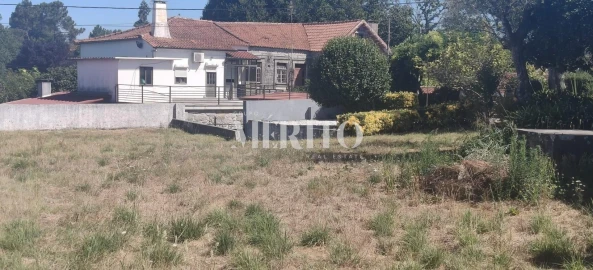 Terreno para Venda em Alvarães