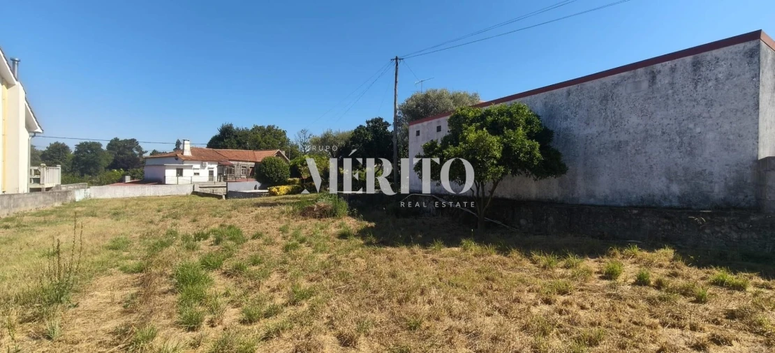 Terreno para Venda em Alvarães Foto 11