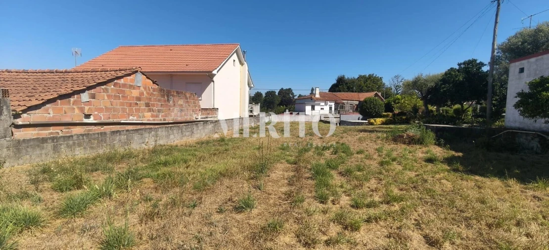 Terreno para Venda em Alvarães Foto 2