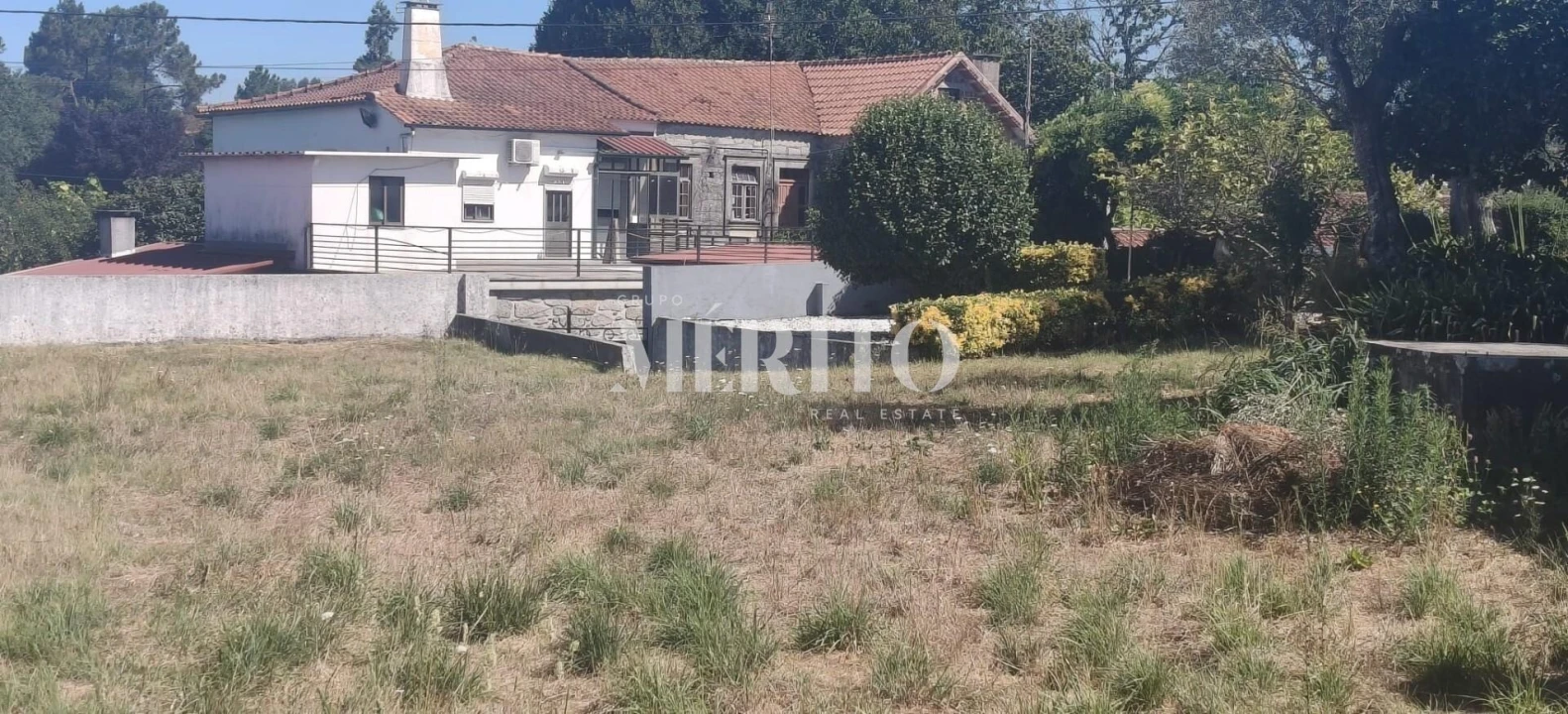 Terreno para Venda em Alvarães Foto 4