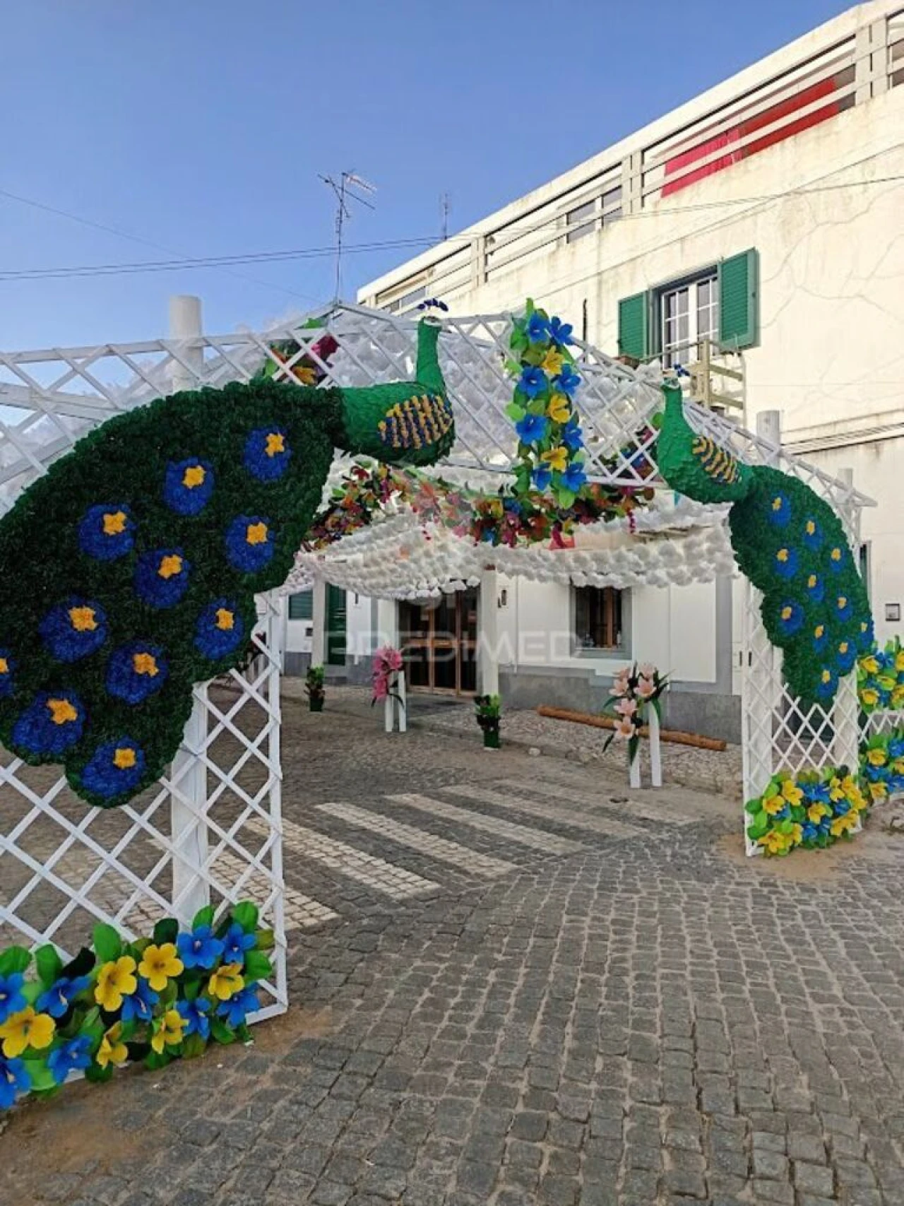Terreno para Venda em São João Baptista Foto 20