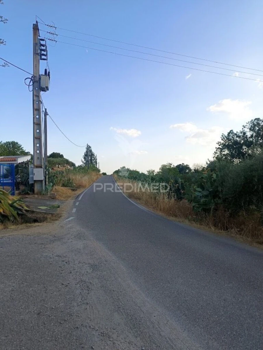 Terreno para Venda em São João Baptista Foto 17