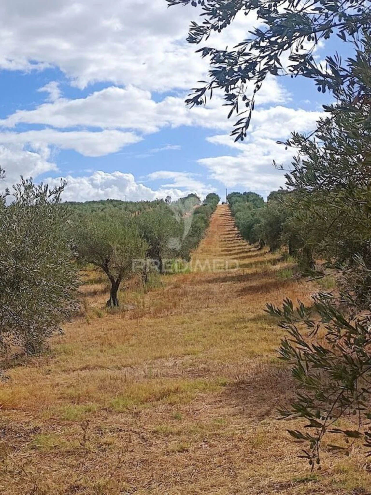 Terreno para Venda em São João Baptista Foto 1