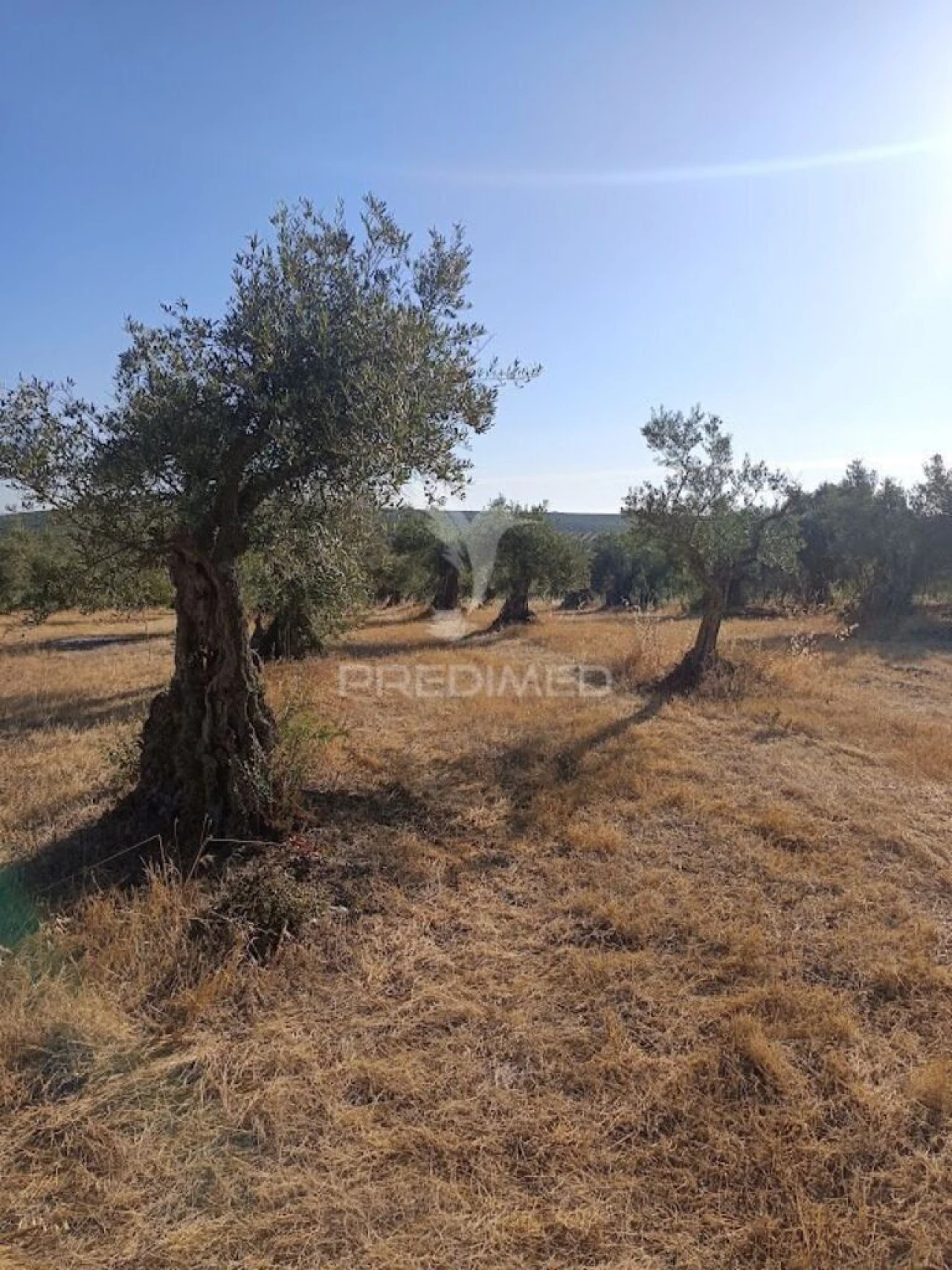Terreno para Venda em São João Baptista Foto 8