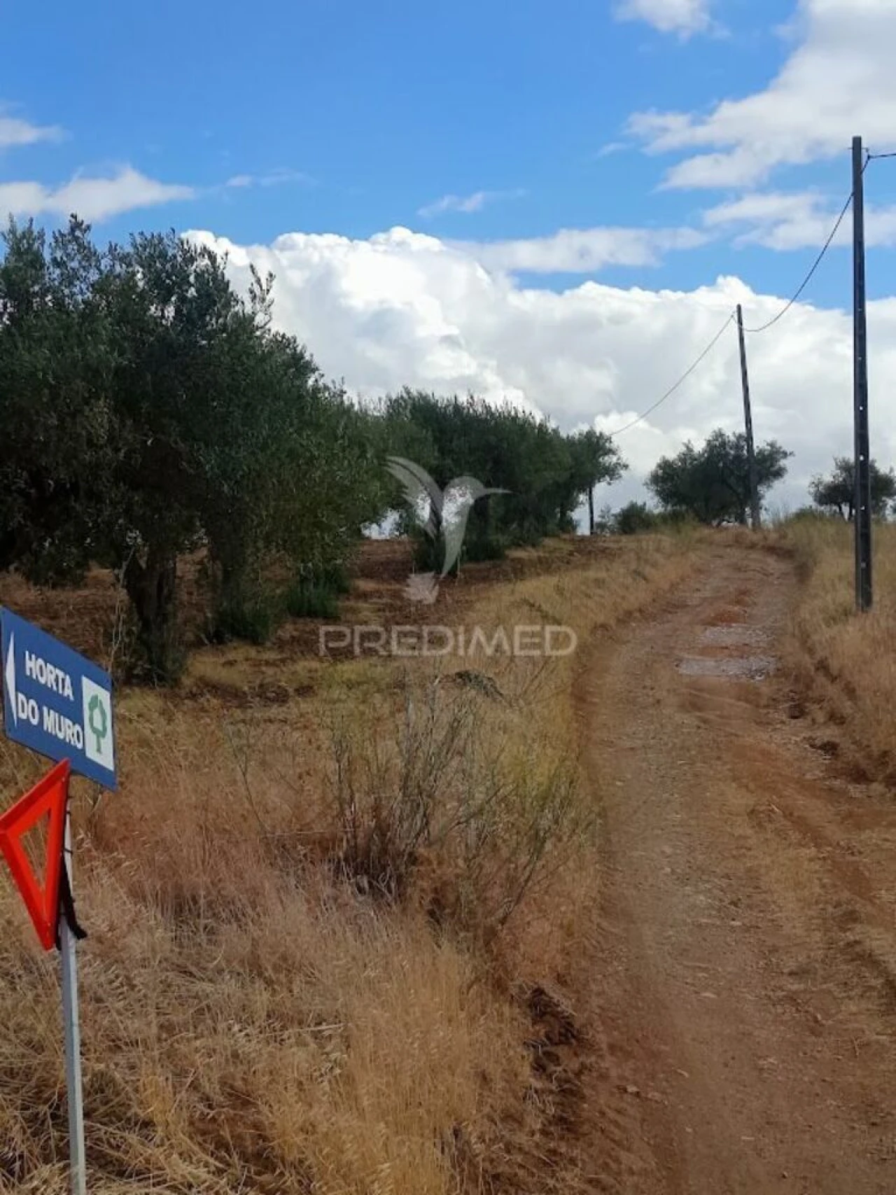 Terreno para Venda em São João Baptista Foto 11