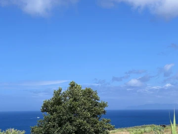 Moradia T2 para Venda em Cedros