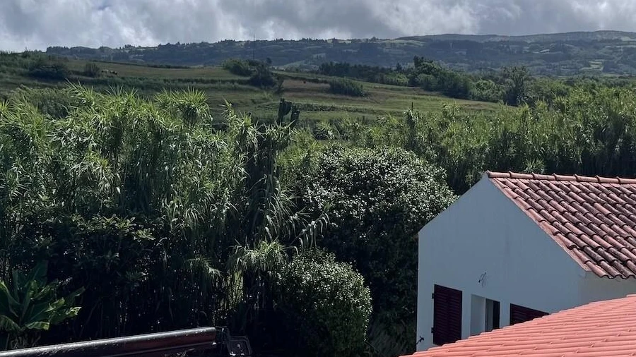 Moradia T2 para Venda em Cedros