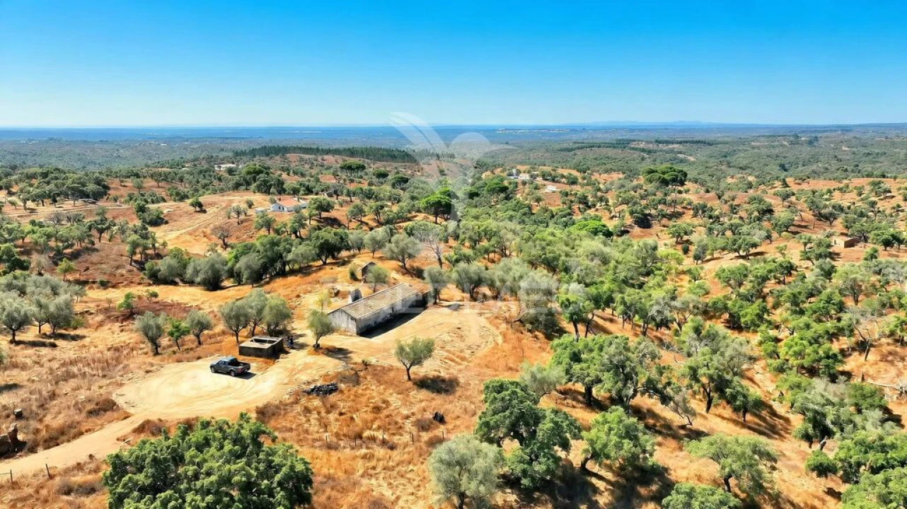 Quinta para Venda em São Francisco da Serra Foto 1