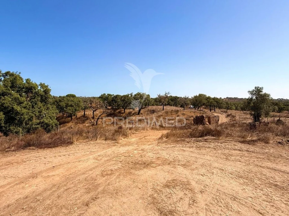 Quinta para Venda em São Francisco da Serra Foto 19