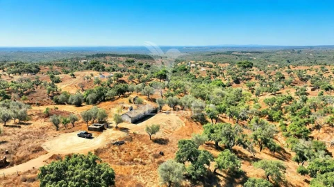 Quinta para Venda em São Francisco da Serra