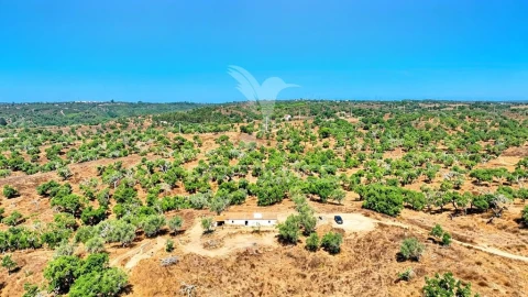Quinta para Venda em São Francisco da Serra
