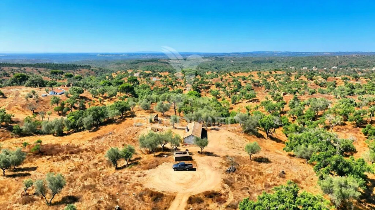 Quinta para Venda em São Francisco da Serra Foto 3