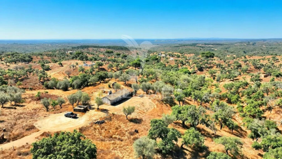 Quinta para Venda em São Francisco da Serra