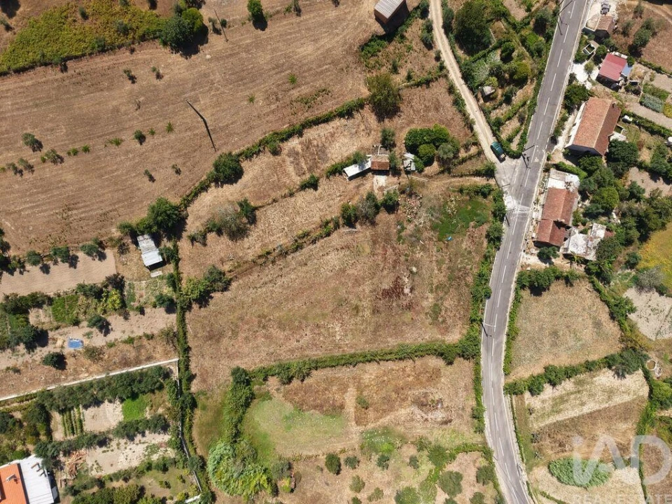 Terreno para Venda em Currelos, Papízios e Sobral Foto 4