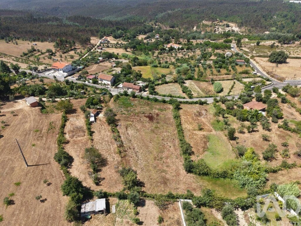Terreno para Venda em Currelos, Papízios e Sobral Foto 2