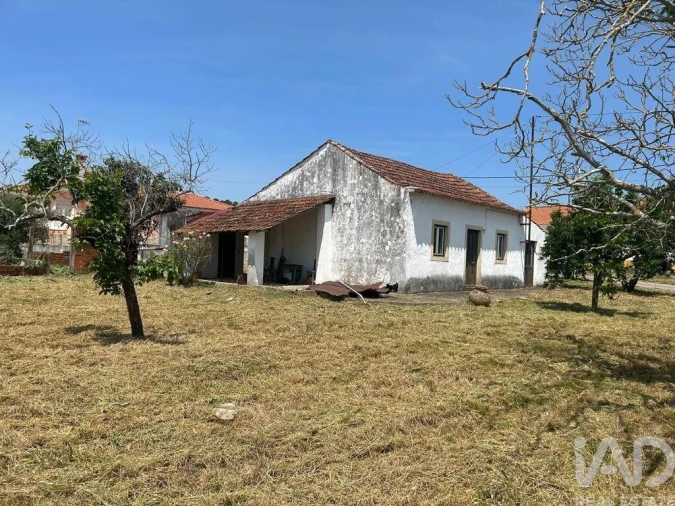 Moradia T3 para Venda em São Pedro de Tomar Foto 3