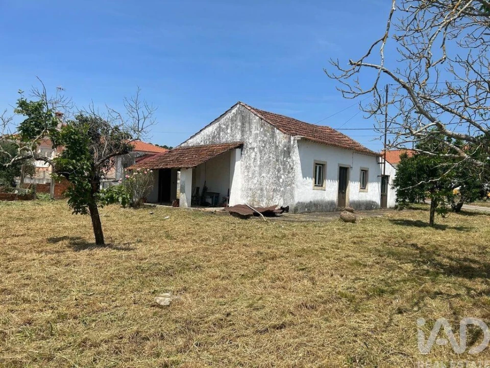 Moradia T3 para Venda em São Pedro de Tomar Foto 3