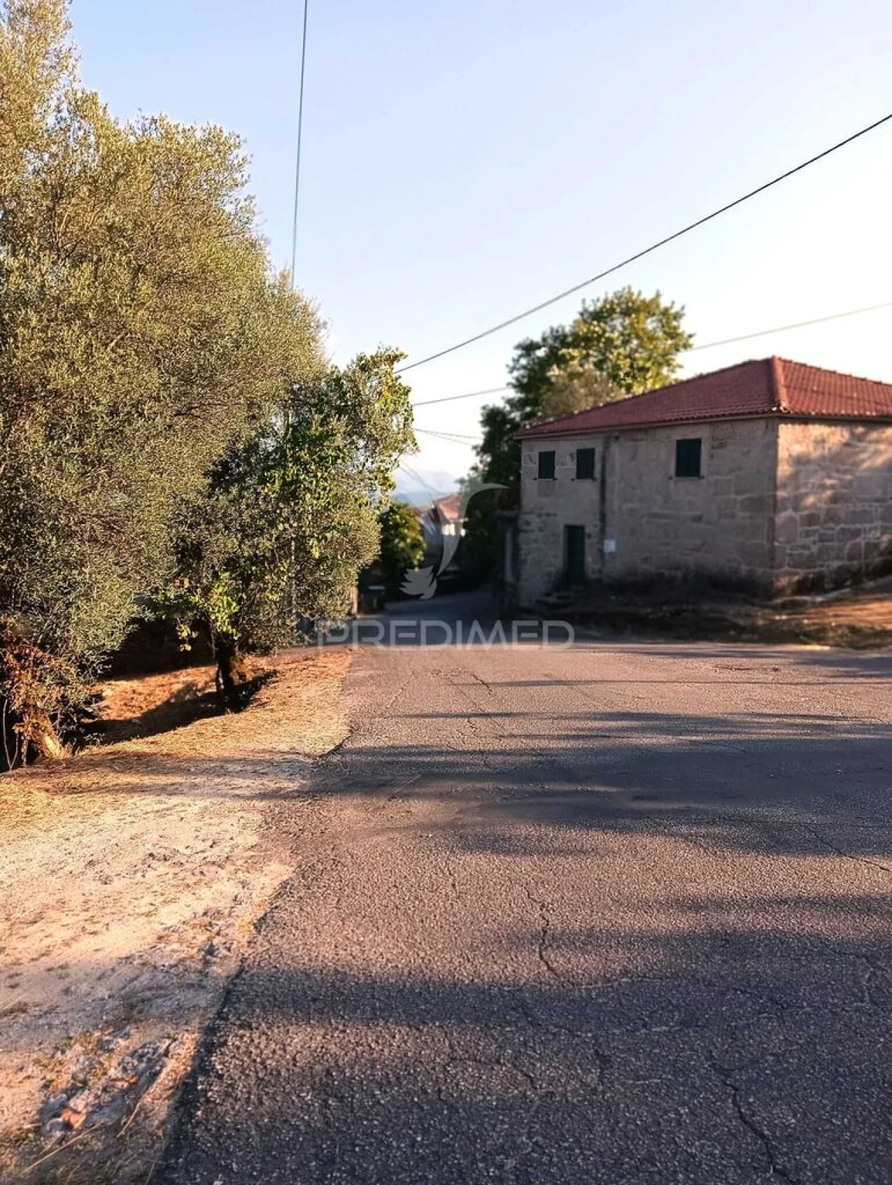 Quinta T4 para Venda em Pedraça Foto 11