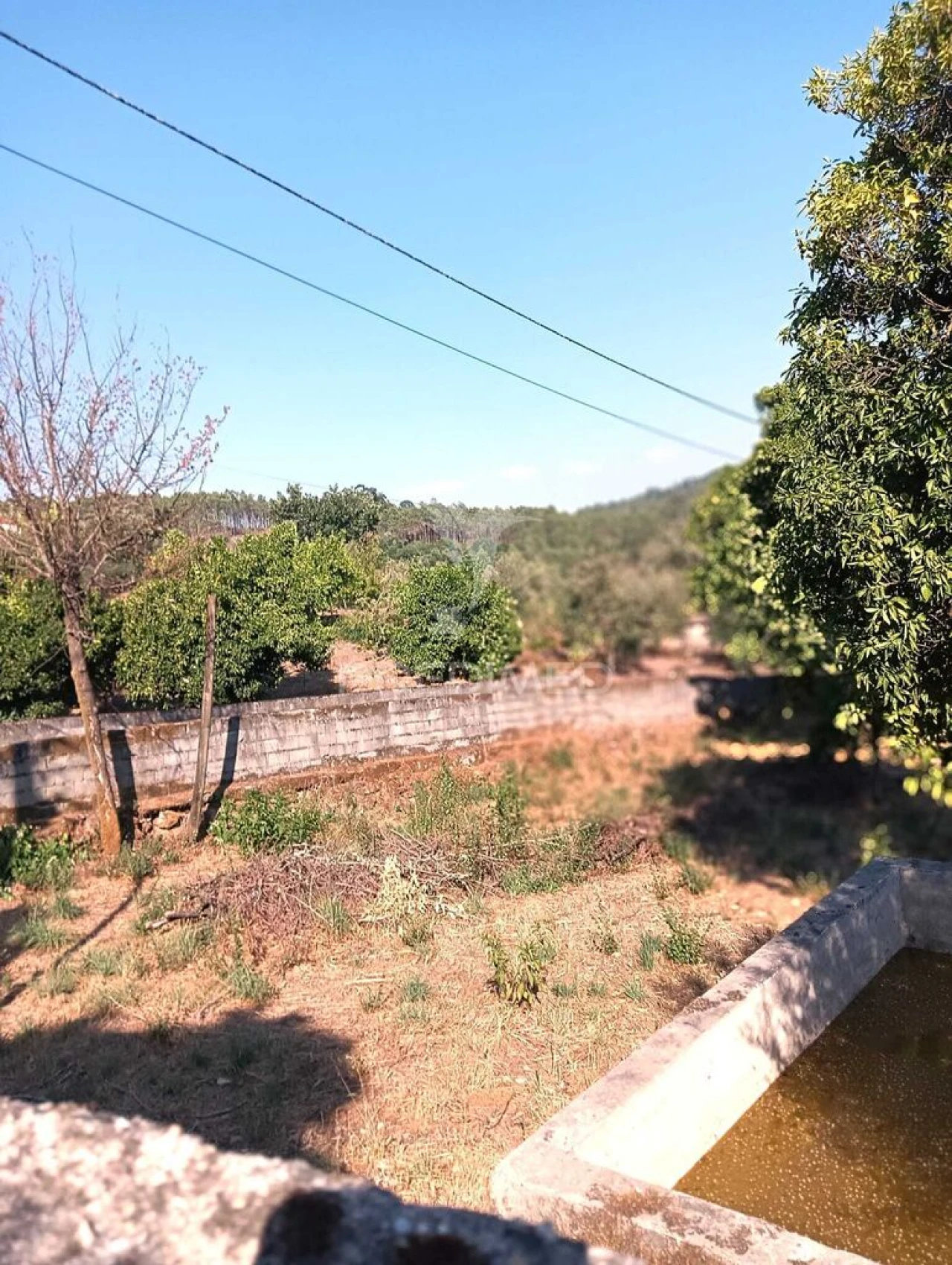 Quinta T4 para Venda em Pedraça Foto 18