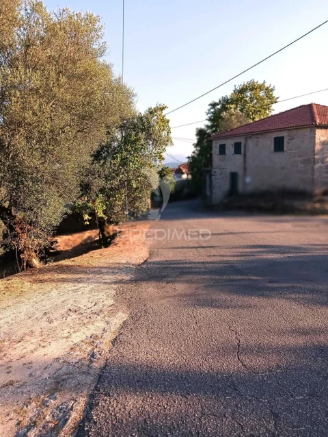 Quinta T4 para Venda em Pedraça