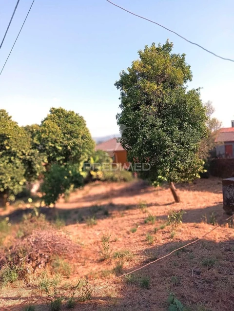 Quinta T4 para Venda em Pedraça