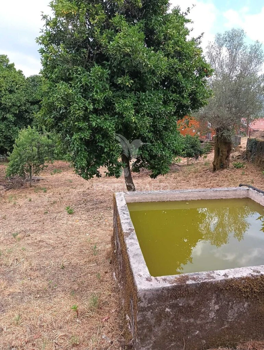 Quinta T4 para Venda em Pedraça Foto 4