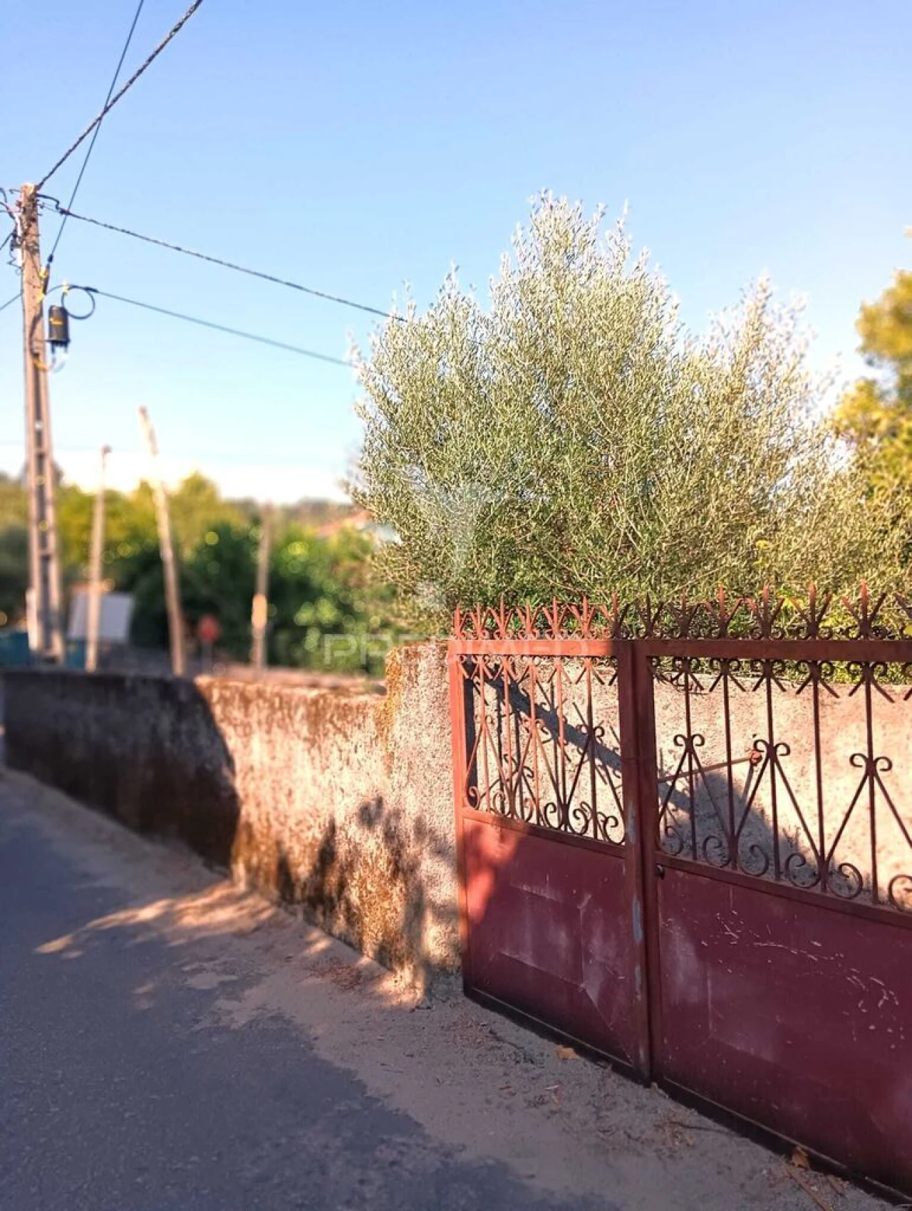 Quinta T4 para Venda em Pedraça Foto 9