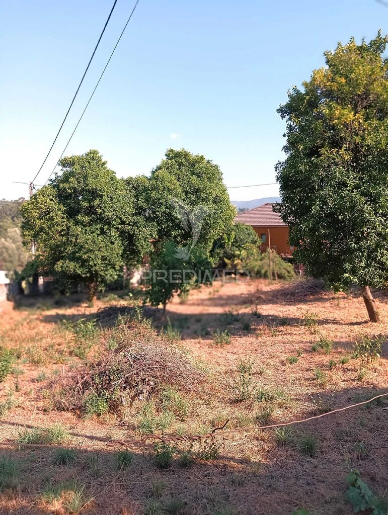 Quinta T4 para Venda em Pedraça Foto 16