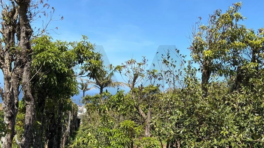 Prédio para Venda em Rabo de Peixe