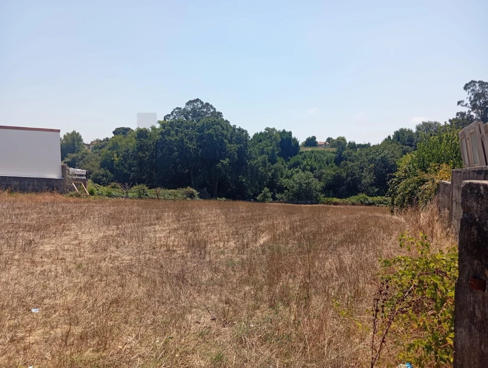 Terreno para Venda em Ovar, São João, Arada e São Vicente de Pereira Jusã Foto 2