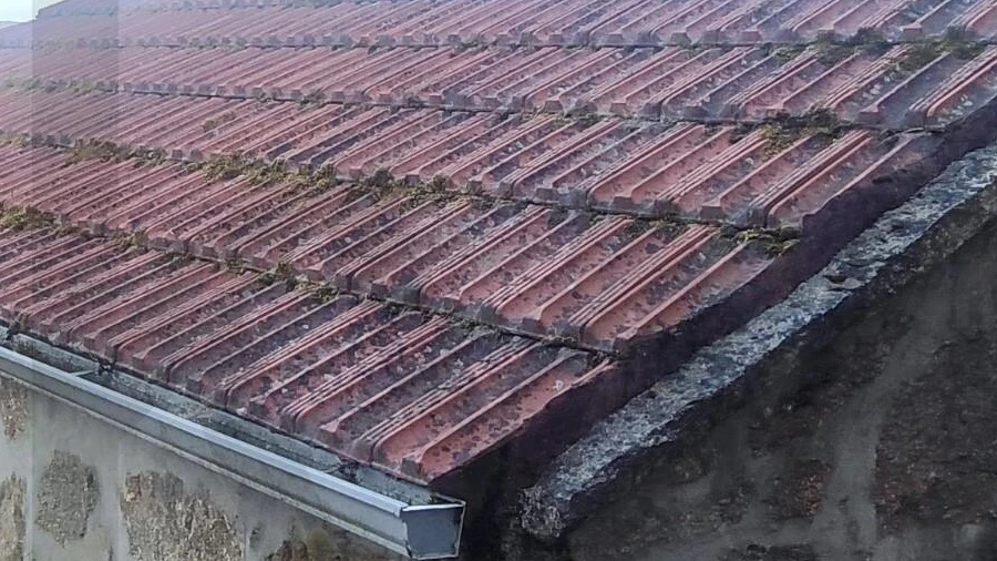 Moradia para Venda em Ferreiros de Tendais
