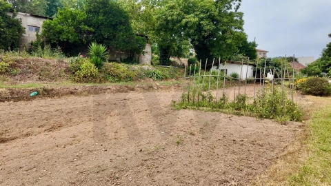 Quinta T5 para Venda em Cristelos, Boim e Ordem