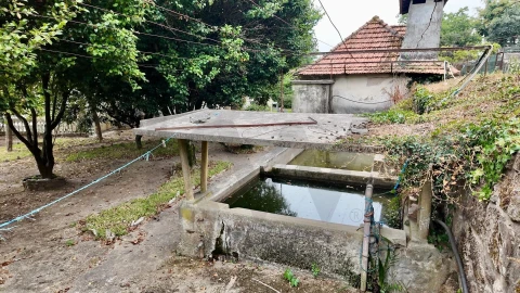Quinta T5 para Venda em Cristelos, Boim e Ordem