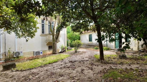Quinta T5 para Venda em Cristelos, Boim e Ordem