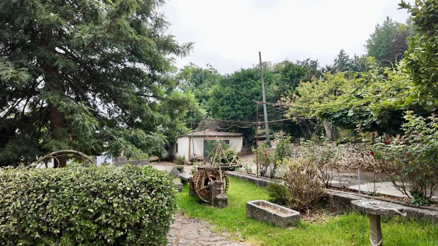 Quinta T5 para Venda em Cristelos, Boim e Ordem Foto 21