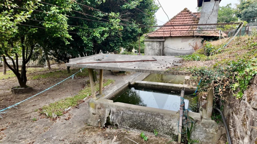Quinta T5 para Venda em Cristelos, Boim e Ordem Foto 12