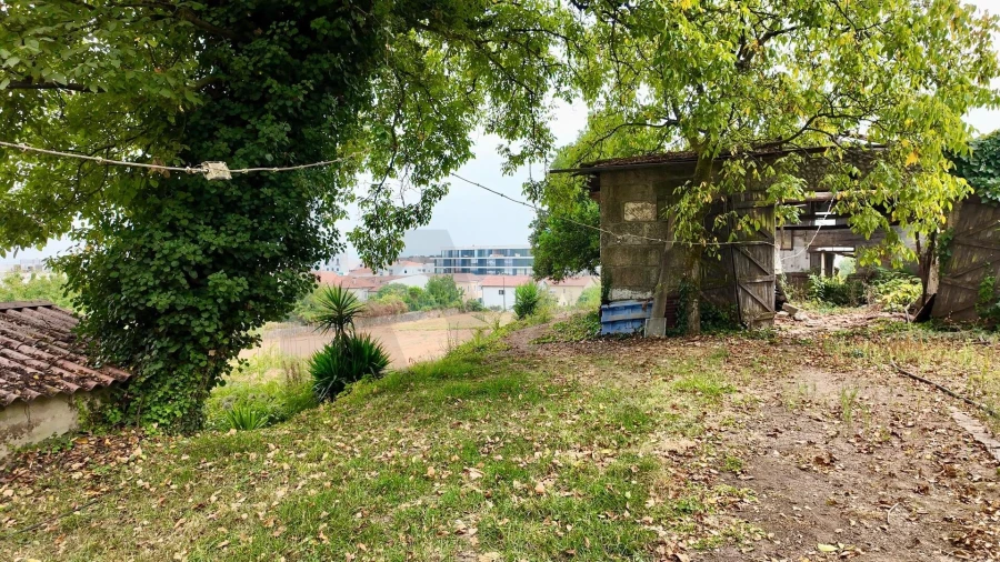 Quinta T5 para Venda em Cristelos, Boim e Ordem Foto 29