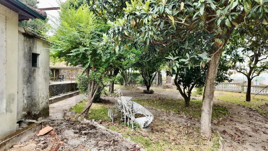 Quinta T5 para Venda em Cristelos, Boim e Ordem Foto 16