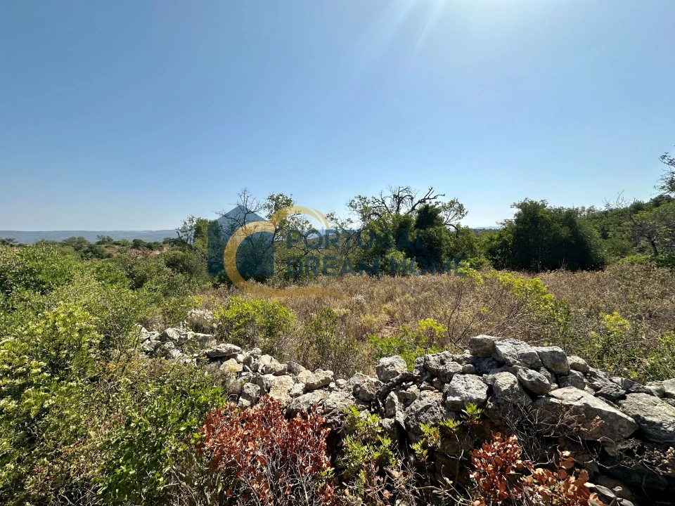 Terreno Agricola ou Rústico para Venda em Silves Foto 1