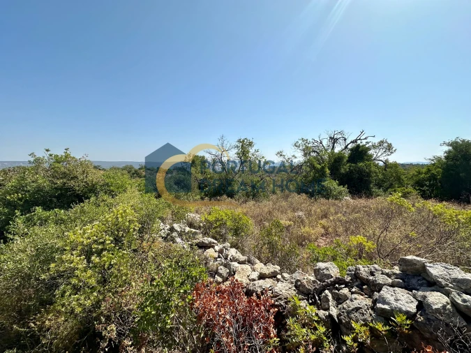 Terreno Agricola ou Rústico para Venda em Silves Foto 2