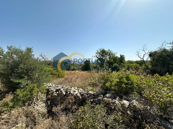 Terreno Agricola ou Rústico para Venda em Silves Foto 4