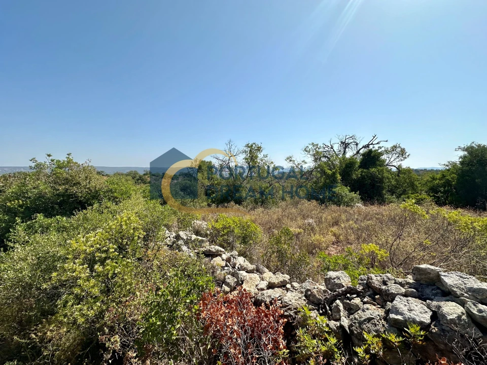 Terreno Agricola ou Rústico para Venda em Silves Foto 2