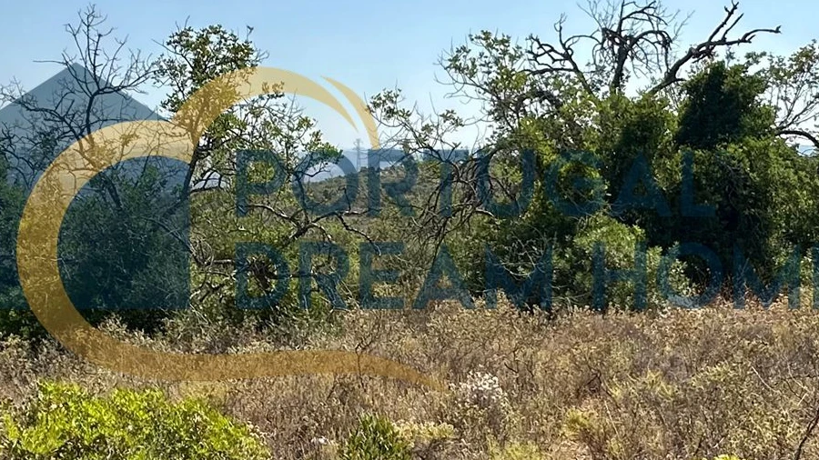 Terreno Agricola ou Rústico para Venda em Silves